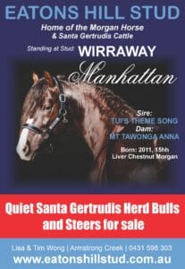 Eatons Hill Stud