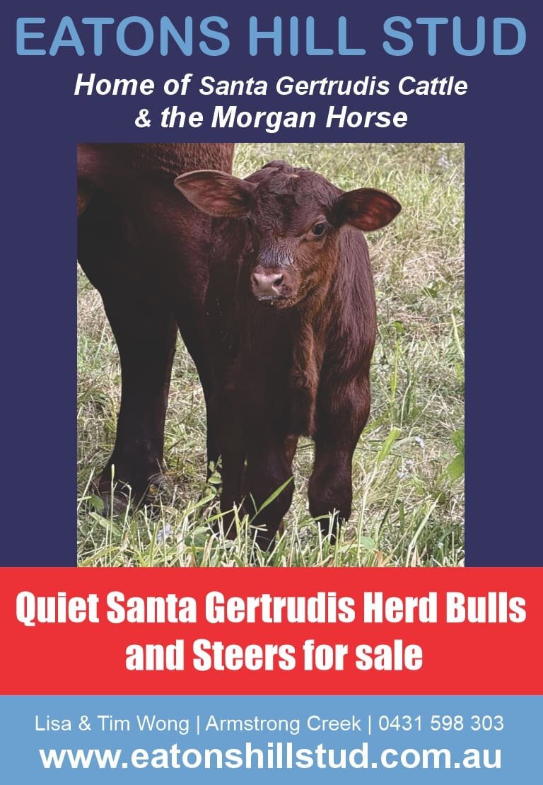 Eatons Hill Stud