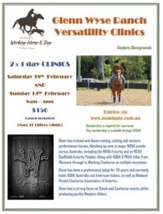 Horse Clinic
