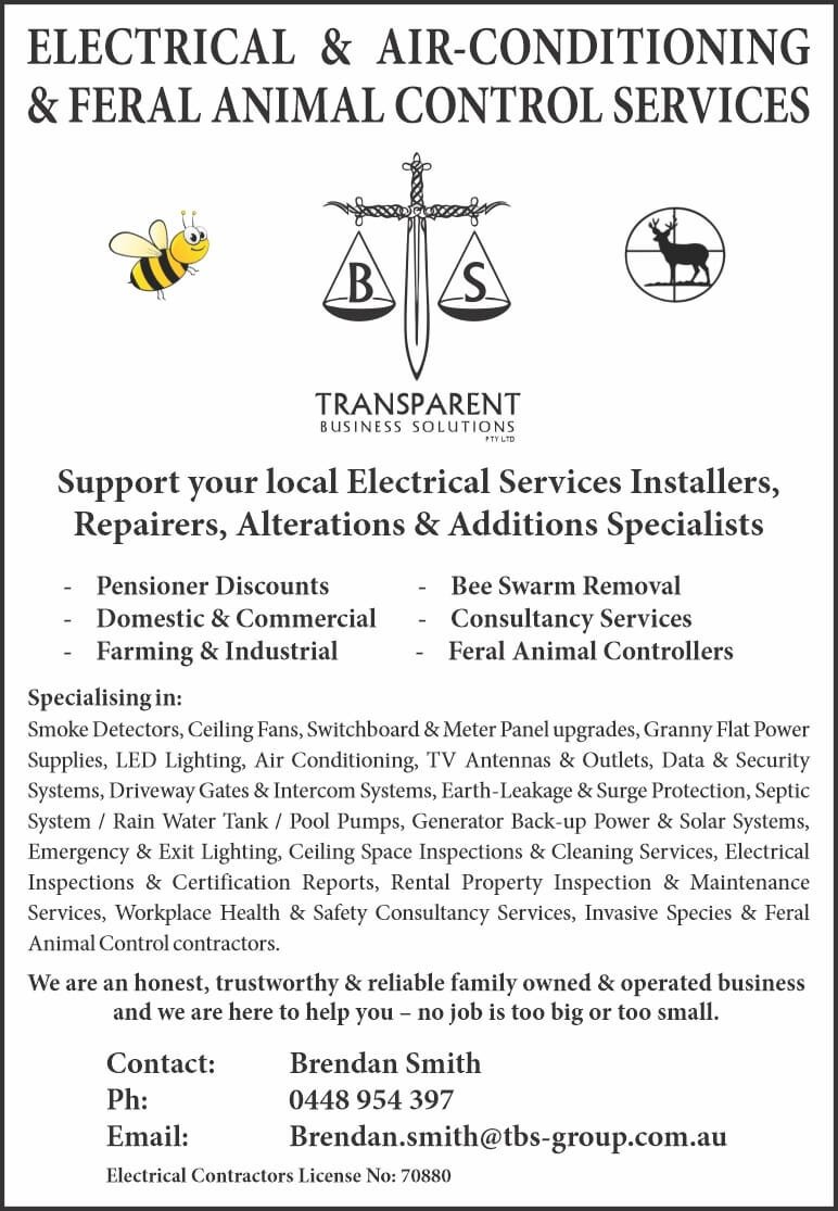 Transparent Business Solutions