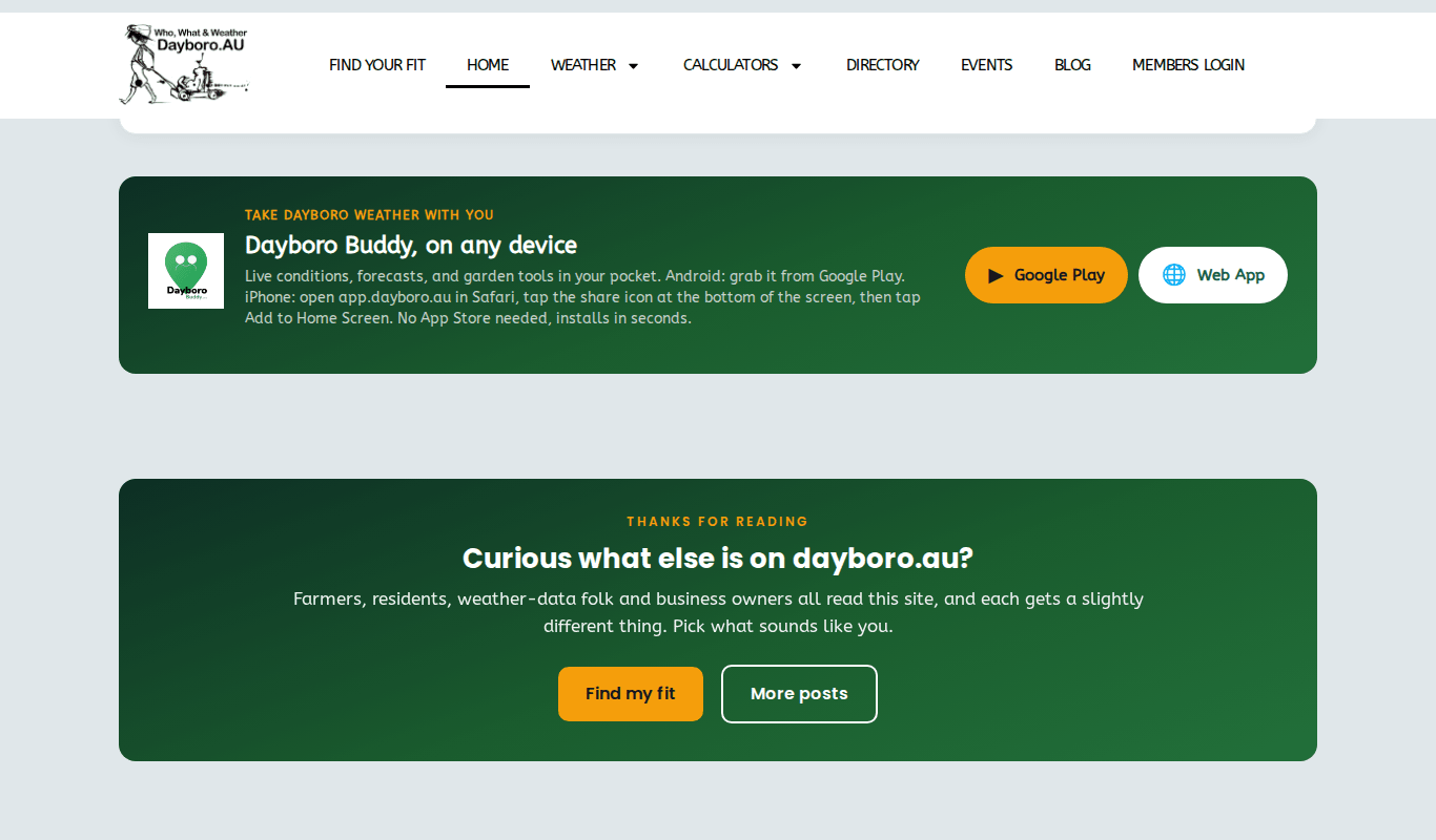 The Dayboro Buddy app section on the home page, with Google Play and Web App buttons
