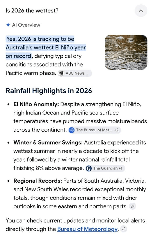 AI Overview screenshot claiming 2026 is tracking towards the wettest El Niño year